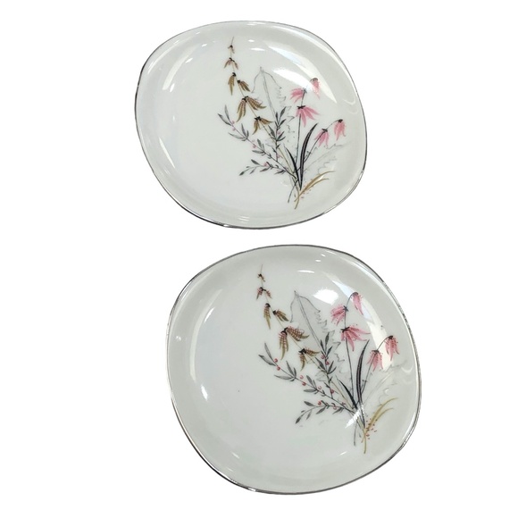 VINTAGE SCHWARZENHAMMER BAVERIA GERMANY FLORAL PLATES - SET OF 2 - Picture 8 of 15